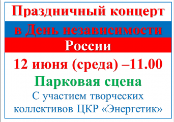 праздничный концерт в День независимости России - фото - 1